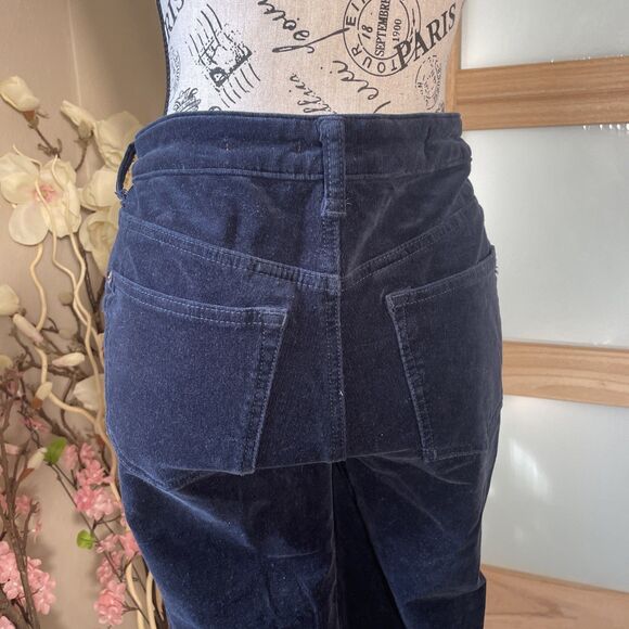 Anthropologie PILCRO Button Fly High-Rise Skinny Corduroy Pants Women's 28P Navy - Picture 5 of 9